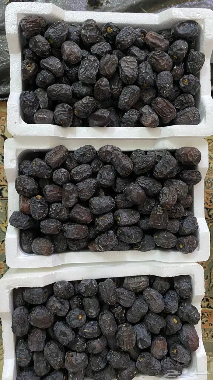 تمر عجوى 0