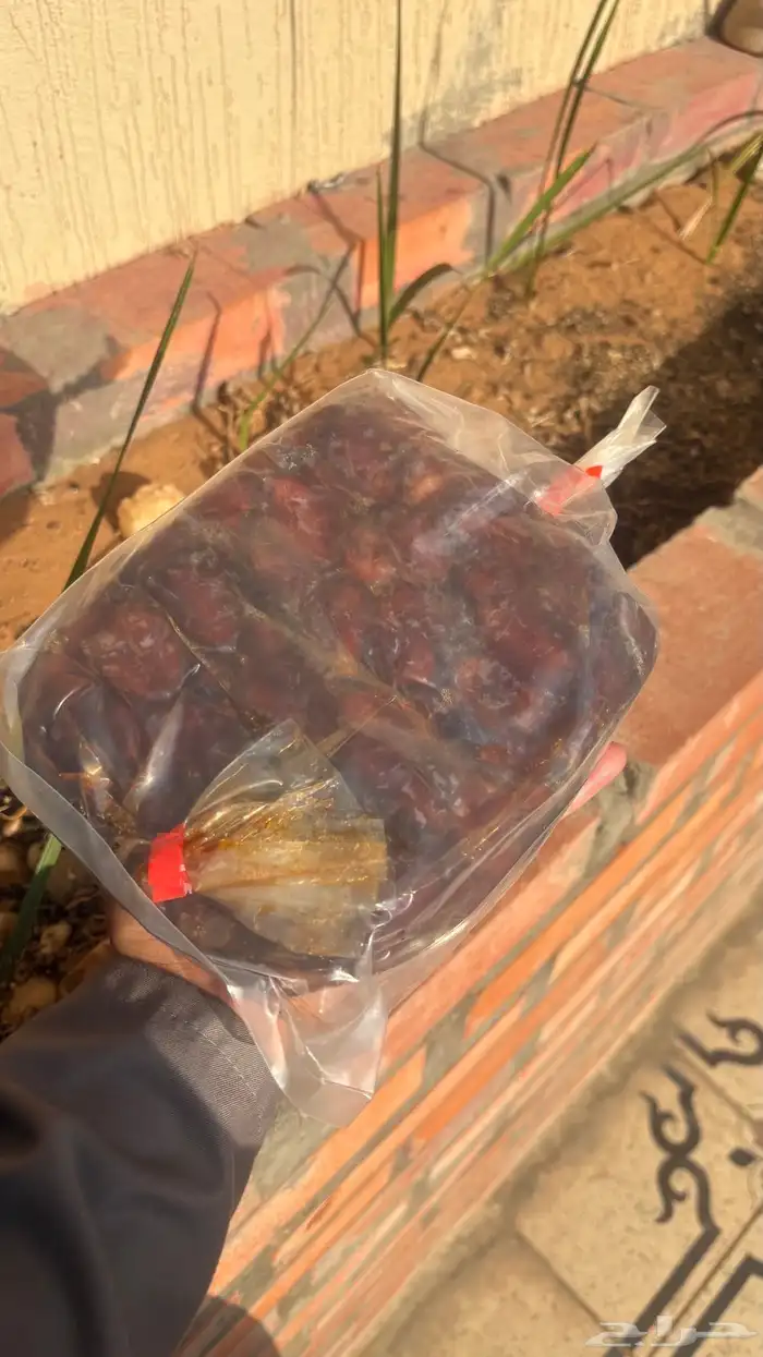 تمر اخلاص درجة اولى 2
