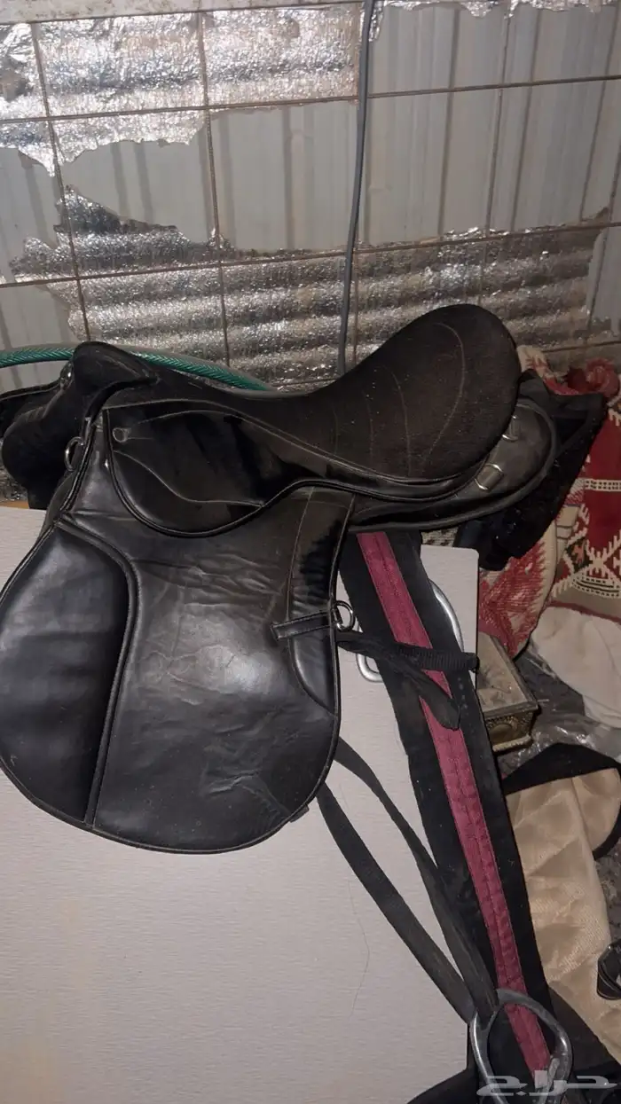 سرج حق ركوب نظيف من ايام الجنادرية 2