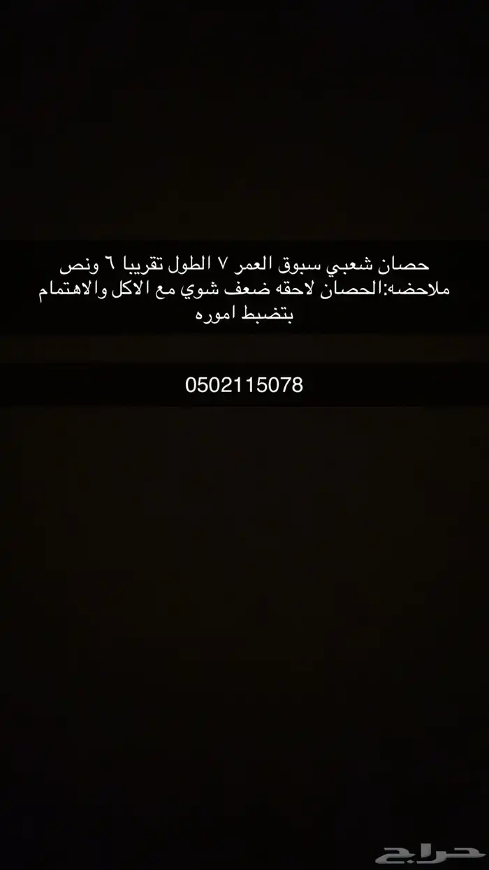علومه بأخر صوره 5