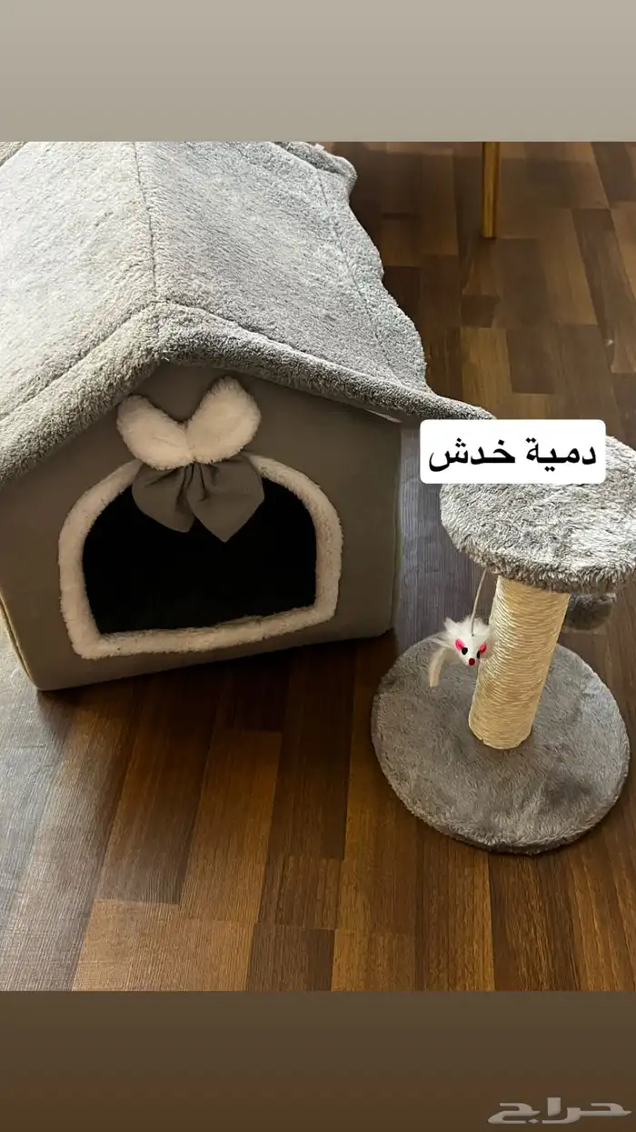 مستلزمات قطط 9
