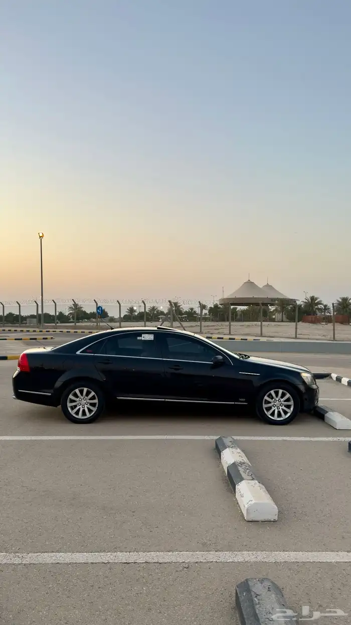 كابرس رويال 2012 3
