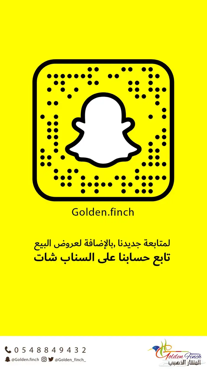 كوكاتو قالا ( لاتينو ) النادر ( تم البيع ) 7