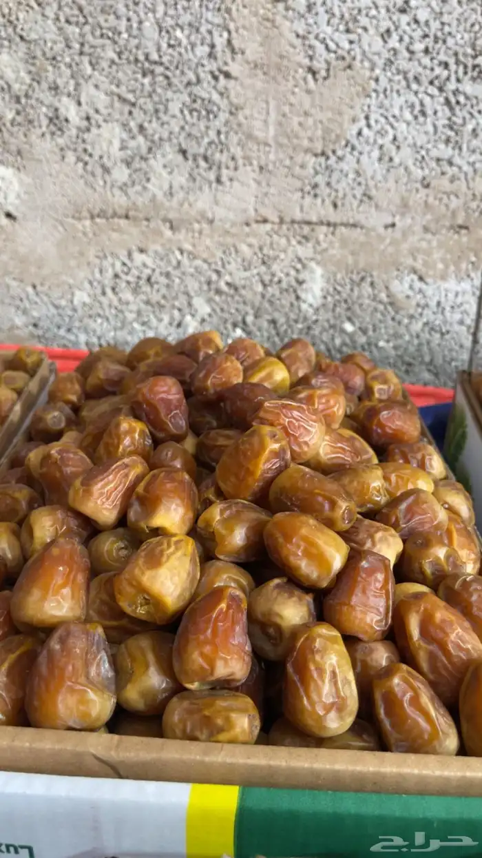تمر 1
