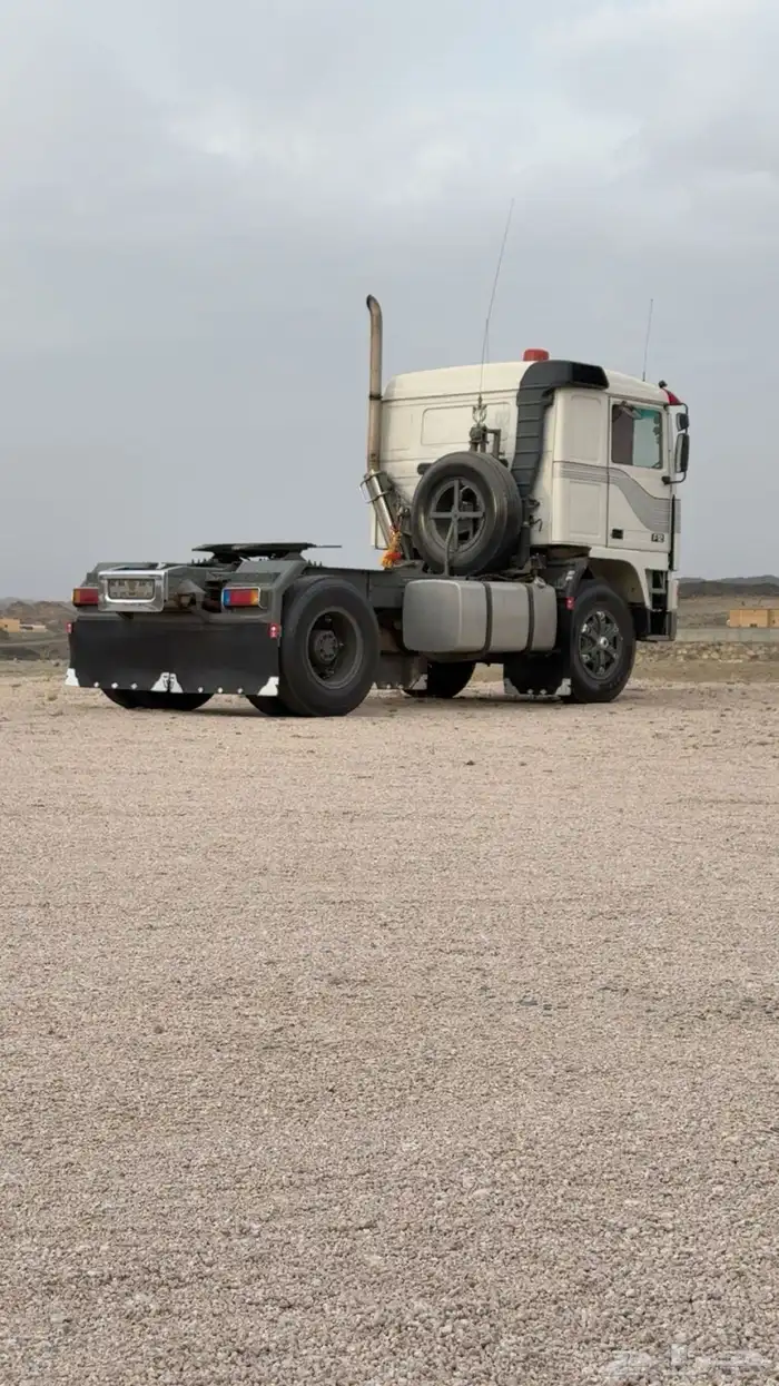راس فلفو زاهد F12للبيع 1