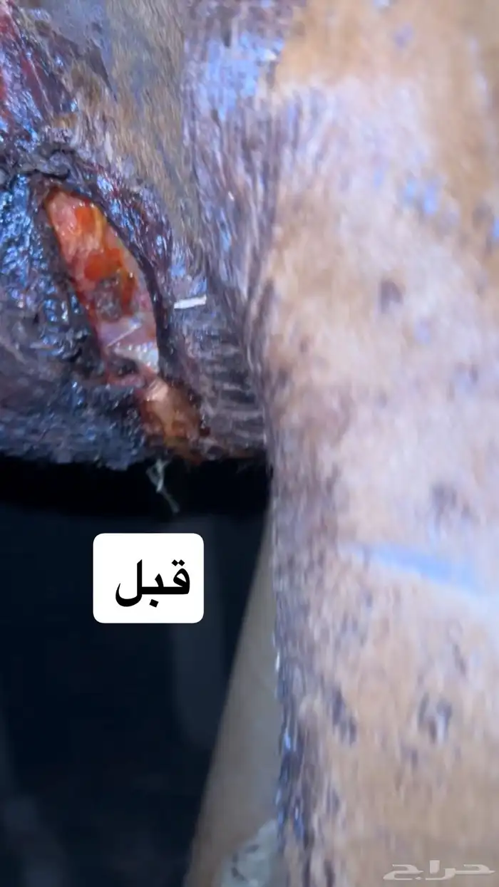 علاج جميع الجروح للخيل بدون خياطه ولا عمليه 0