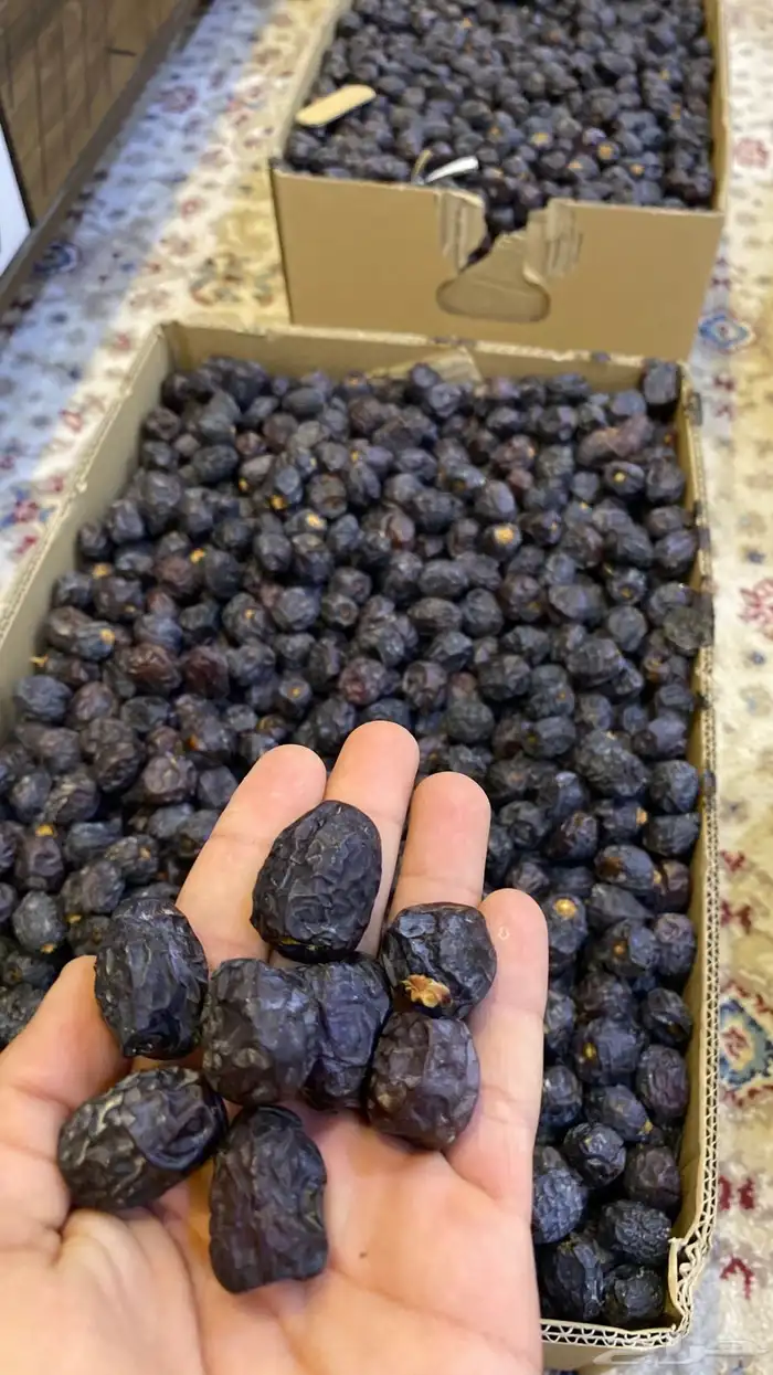 تمر عجوى 1