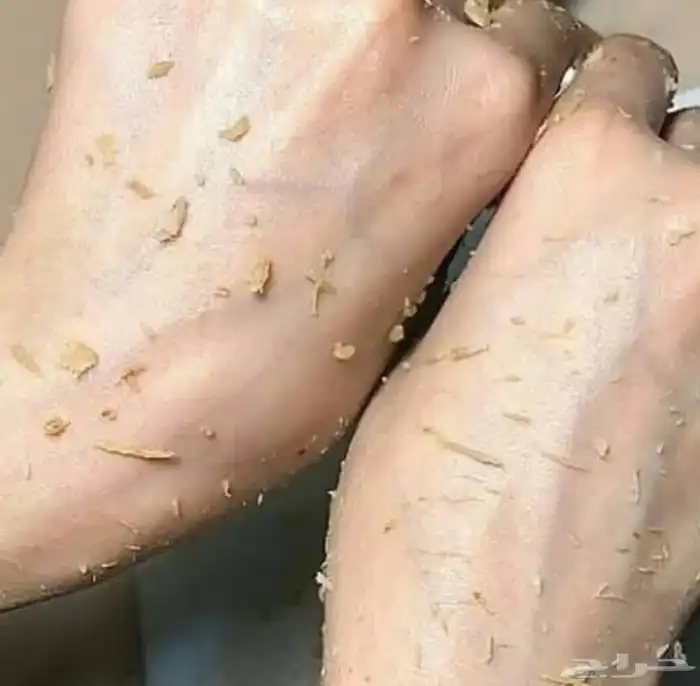 نقاشه الرياض 74