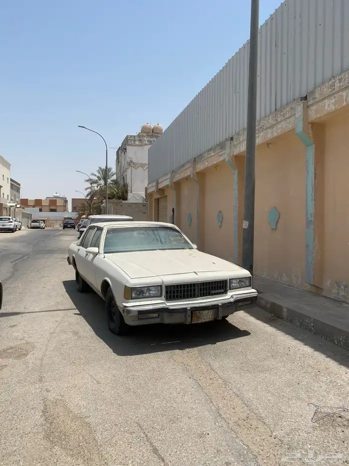 كابرس مديل 1988 3