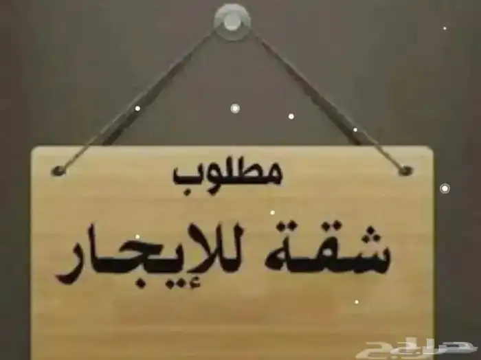 مطلوب شقة عرسان فالحلقه 0