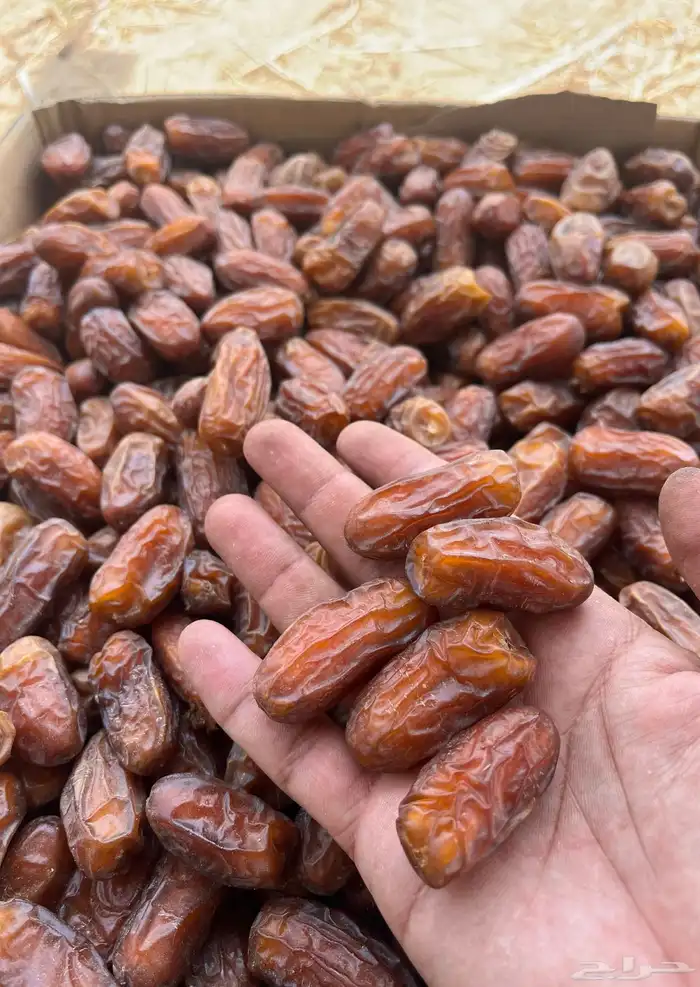 تمر صفري طيب الموقع الخرمه 0