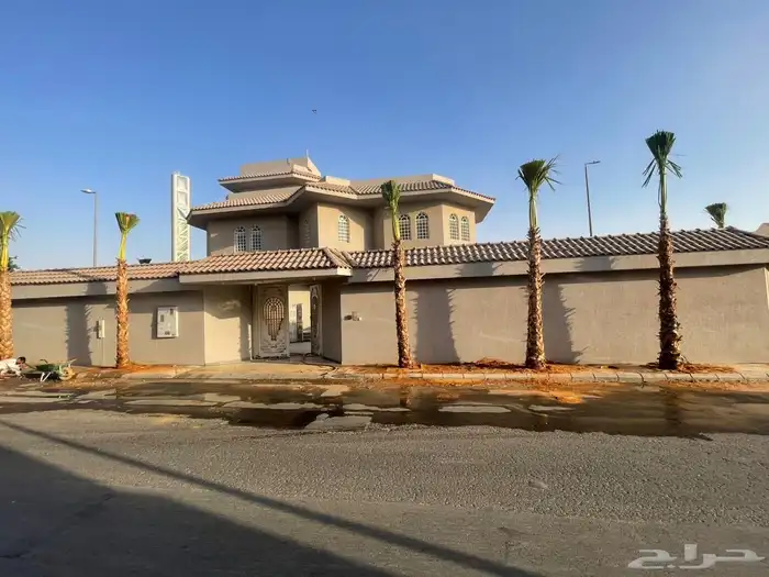 نخل واشنطوني للبيع 1