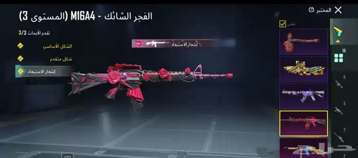 حساب ببجي 21
