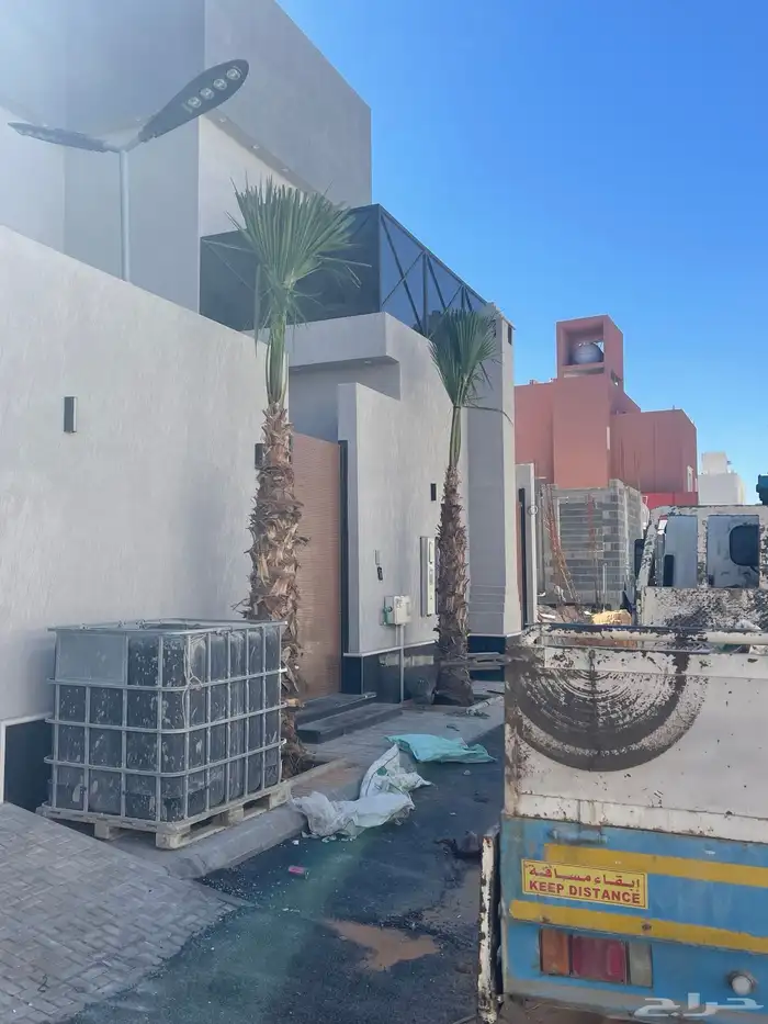 نخل واشنطوني للبيع 9