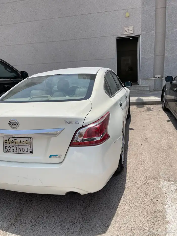 نسبيان التيما موديل 2013 4