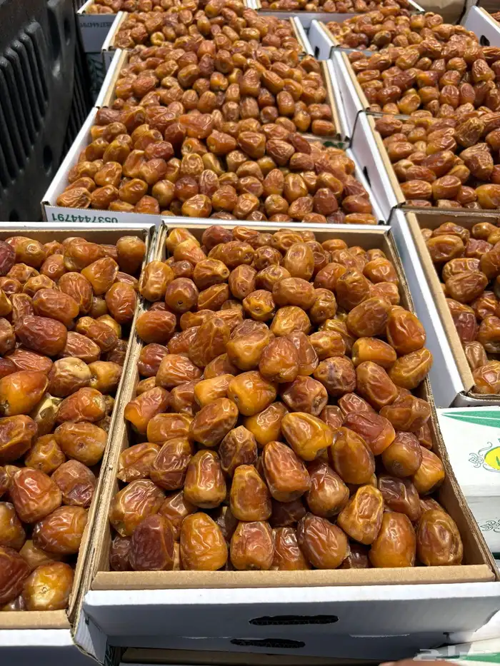 تمر جلكسي ملكي فاخر 3