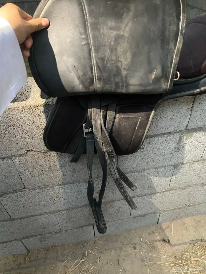 سرج خيل ستيتوس 0