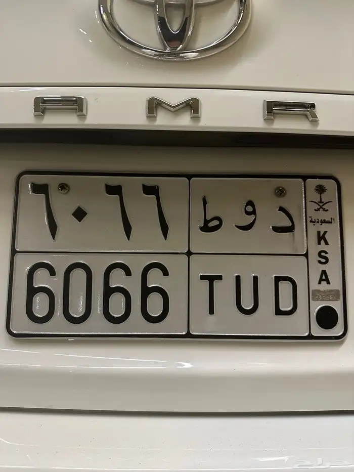 لوحه دوط 6066 0