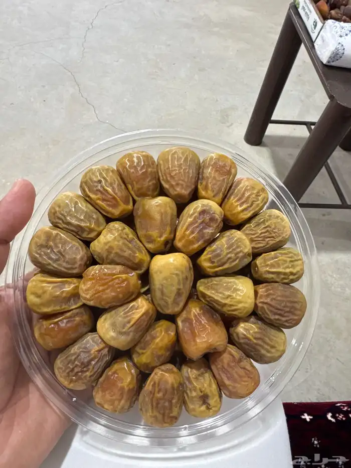 سكري معب جاهز للتخزين 0