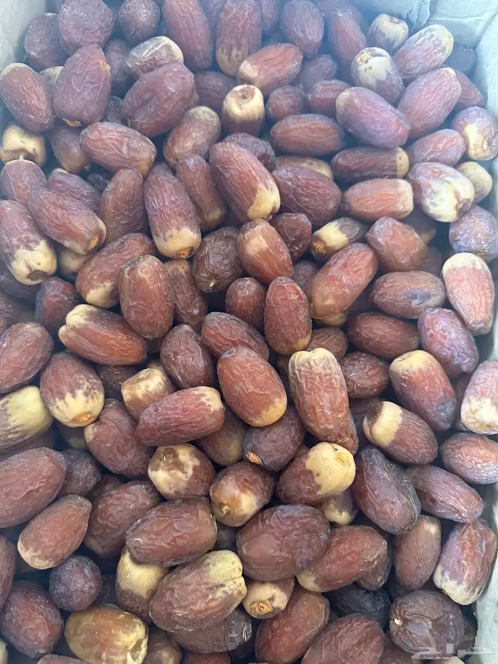 تمر عجوا وصقعي ومجدول فاخر 4