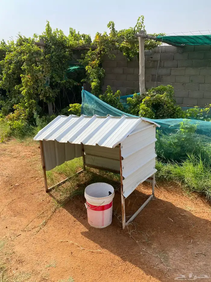 للبيع مضلة صغيره 0