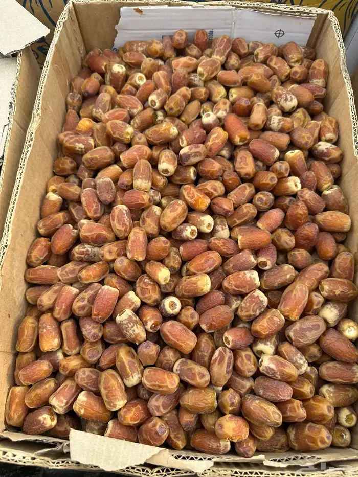 تمر عجوا وصقعي ومجدول فاخر 6