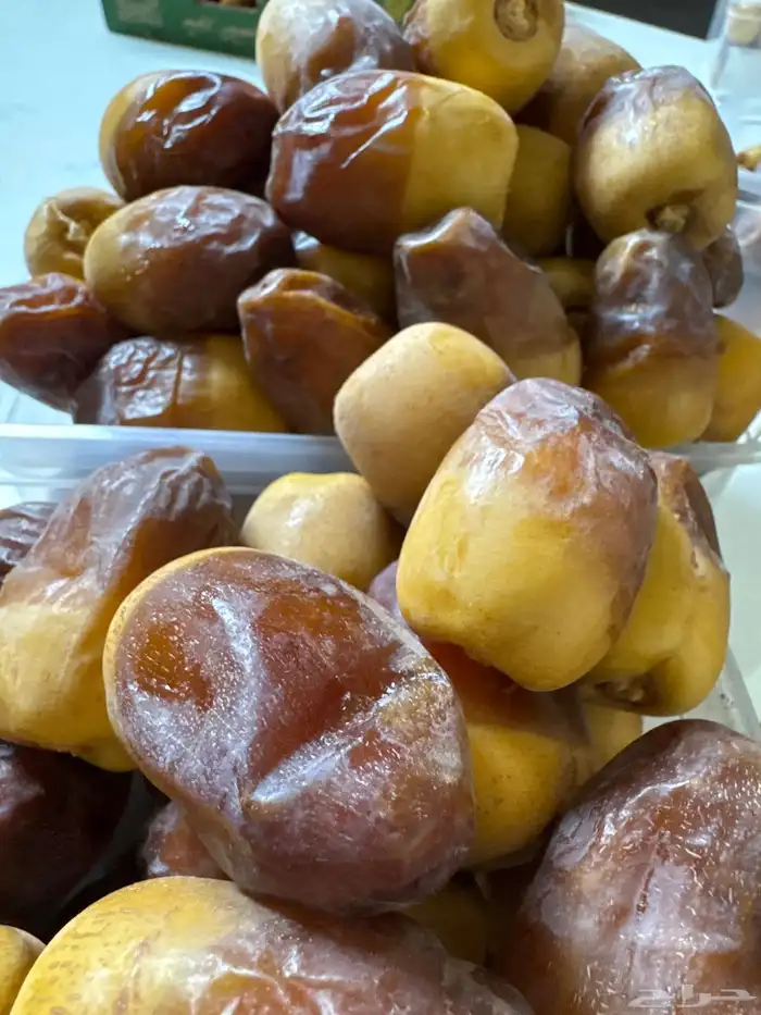 تمر ام كبار نظيف 1