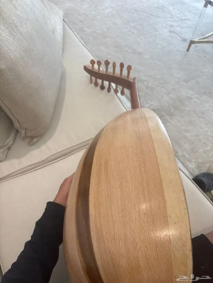 عود مصري 2