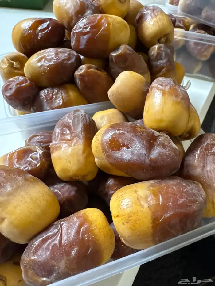 تمر ام كبار نظيف 0