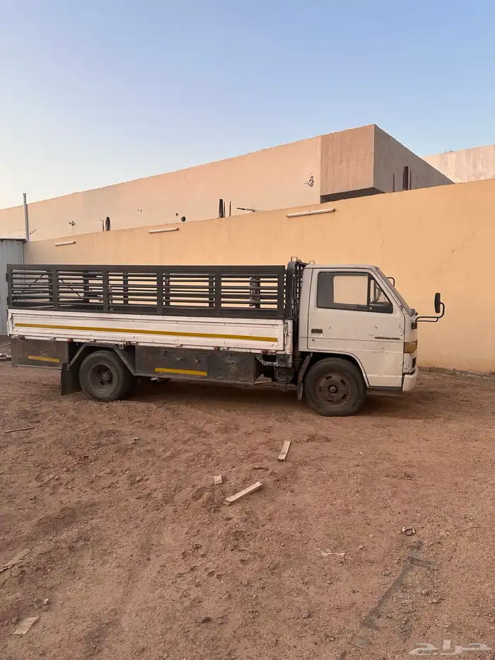 دينا ايسوزو 1
