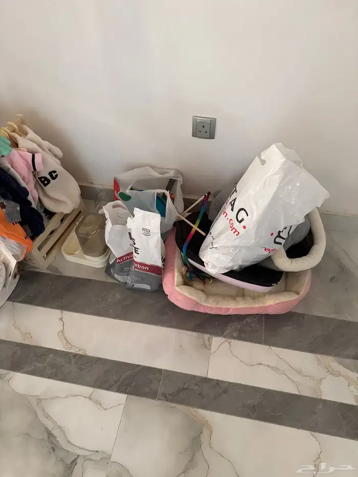 اغراض بسس قطط 1