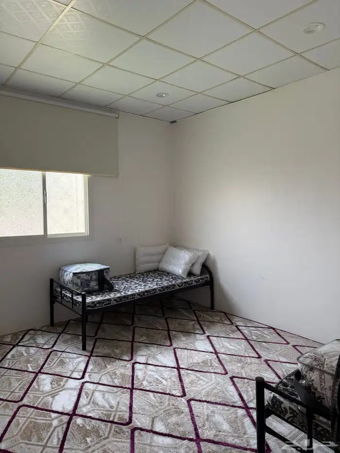 استراحة للايجار اليومي مجهزه بالكامل 4