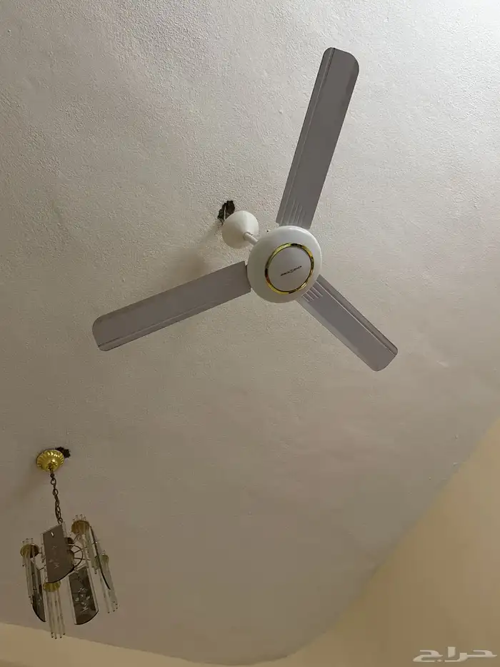 يارب ارزقني بوظيفه حكوميه معي بكالوريوس في جدة او جازان 0