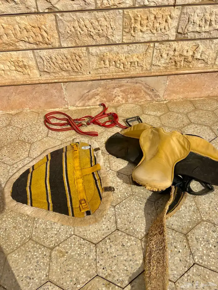 سرجل ولباد سميك 4