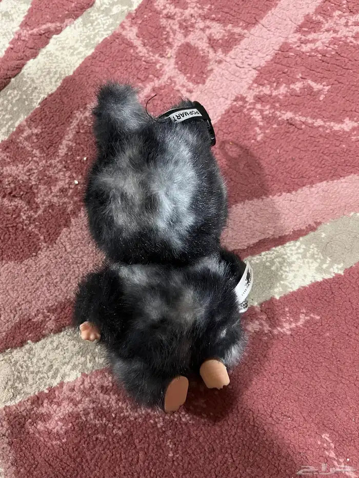 لا بوبو للبيع 0