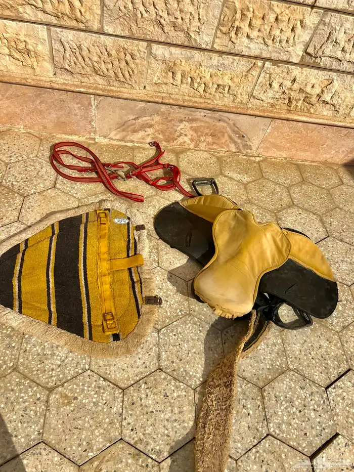 سرجل ولباد سميك 0