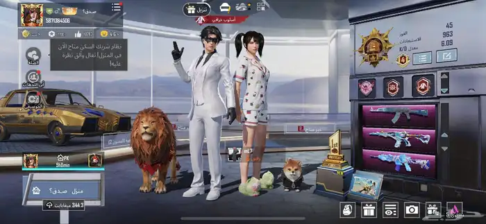 حساب ببجي 6