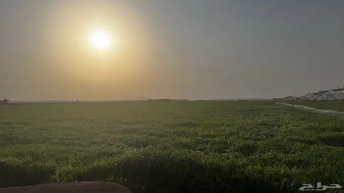 ذره جيزانية للبيع رشاش اربع ابراج 0