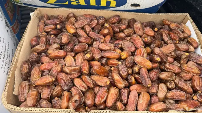 تمر بديره جديد وصفري 3