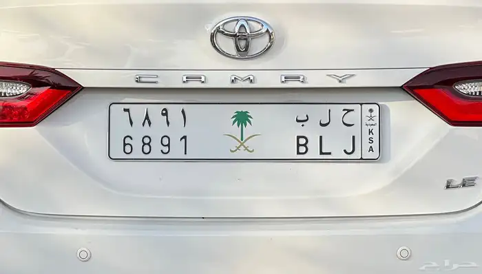 لوحه حلب مميزه لعشاق سوريا اصدار ملكي 0