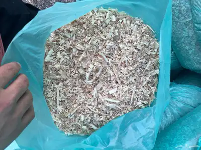 نشارة index