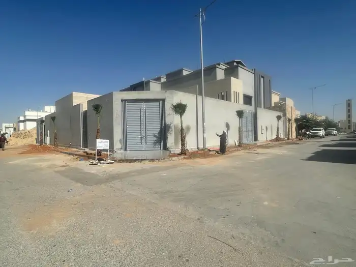 نخل واشنطوني للبيع 2