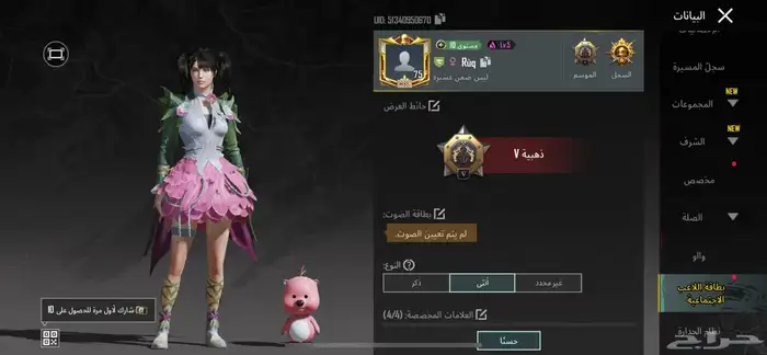 حساب ببجي للبيع 5