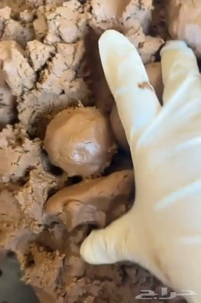 نقاشه الرياض 30