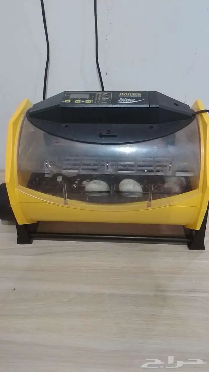 بيت دجاج كبير وحضانه صيصان ودجاج باحجام مختلفه 7