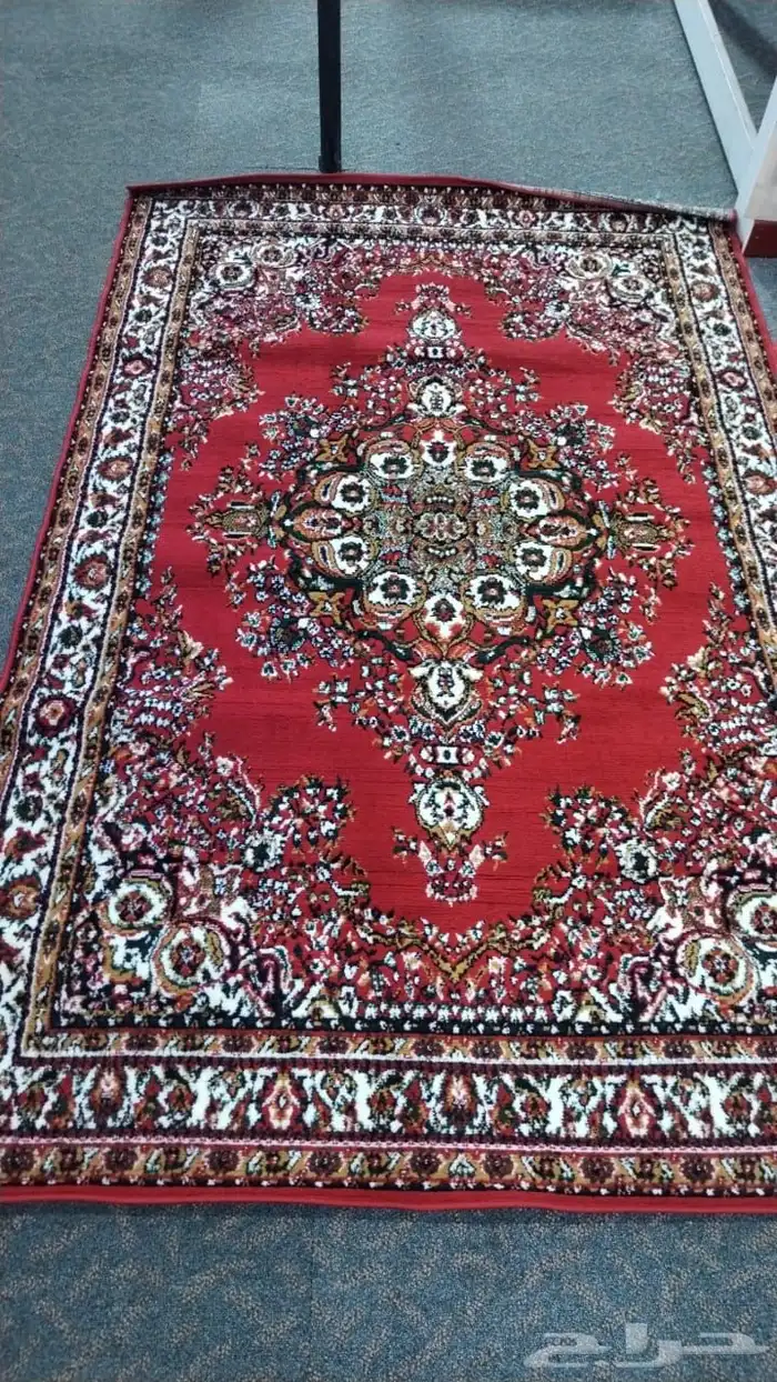 new Carpet for rent 9