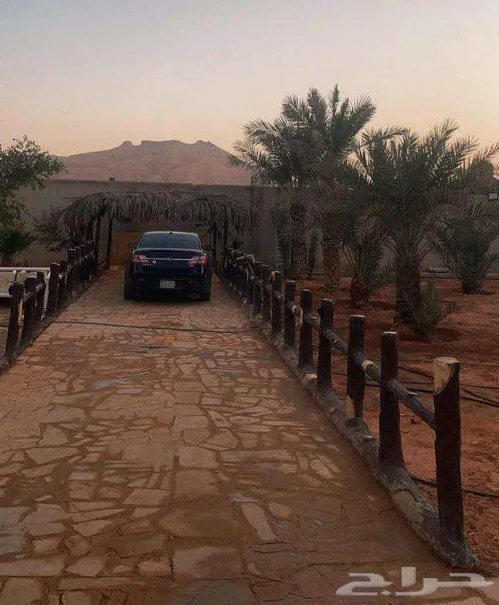 للبيع استراحة زراعية - ديراب بالرياض 6