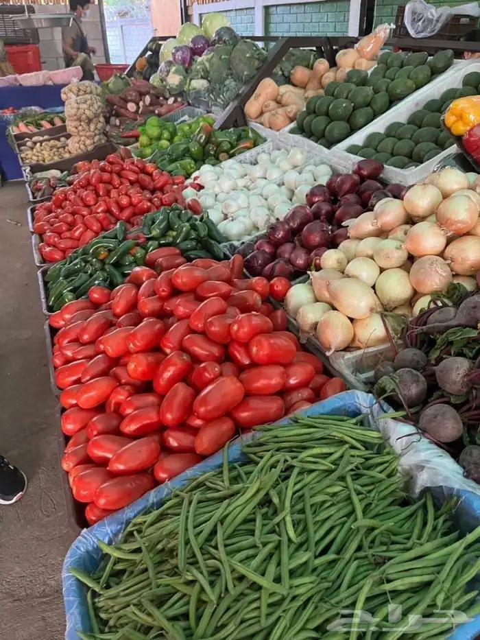 توصيل تمر و خضار 3