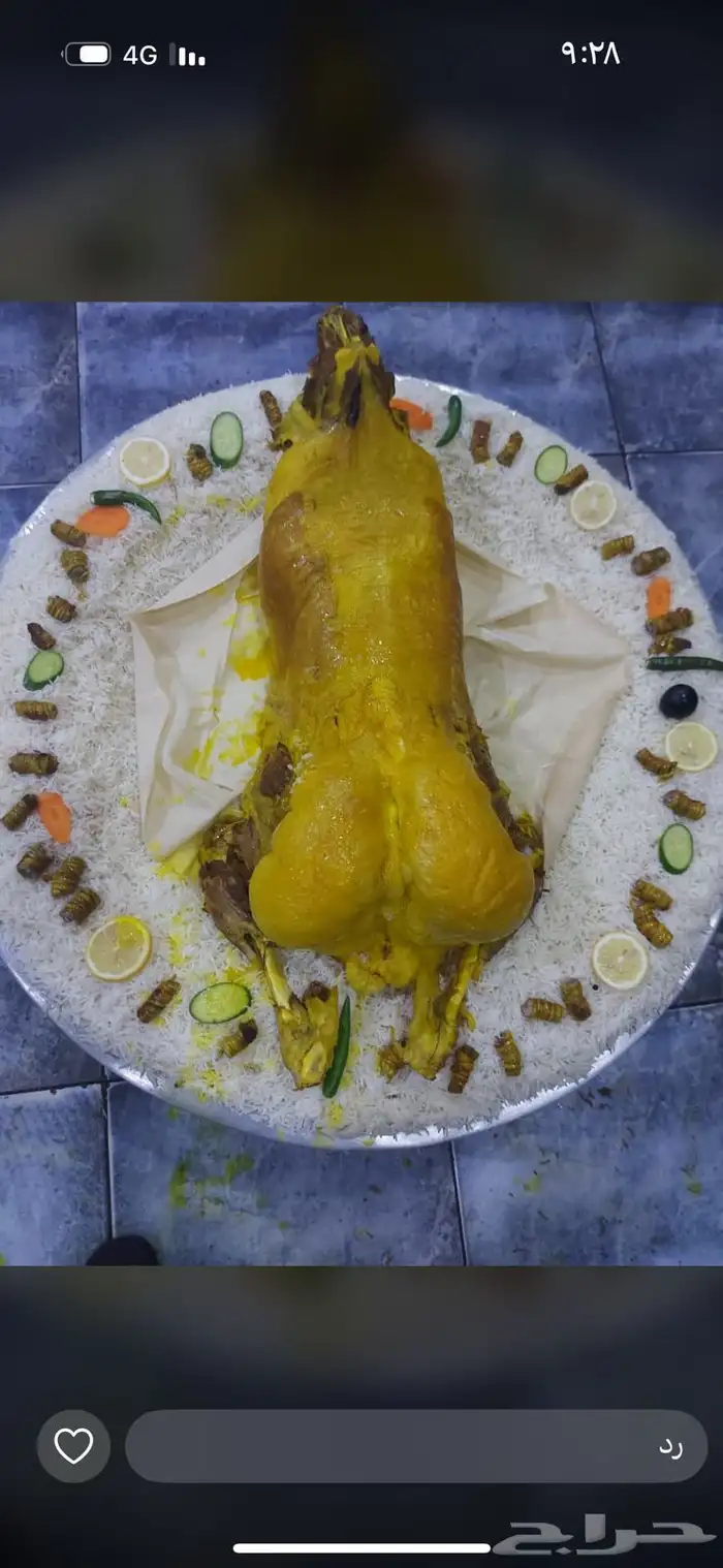 ذبايح لباب بيتك 1