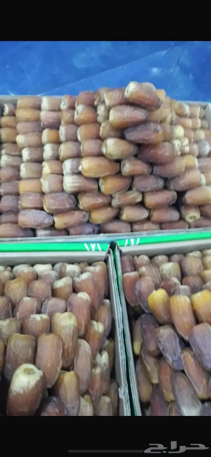 فسائل مجدول وصقعي وخضري في مراكن 1